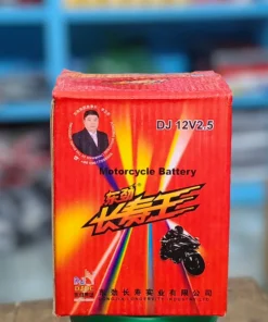 Motorcycle Battery 12V